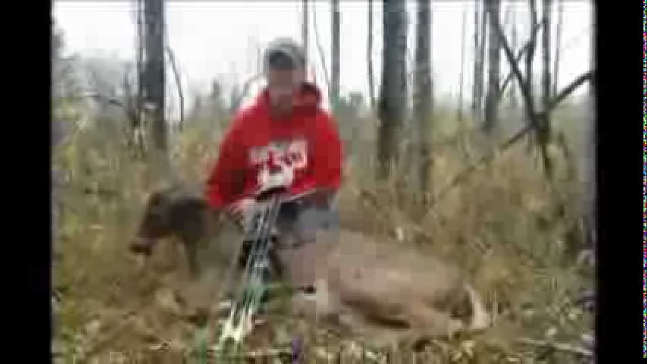 Northern Minnesota October Bow Hunt YouTube