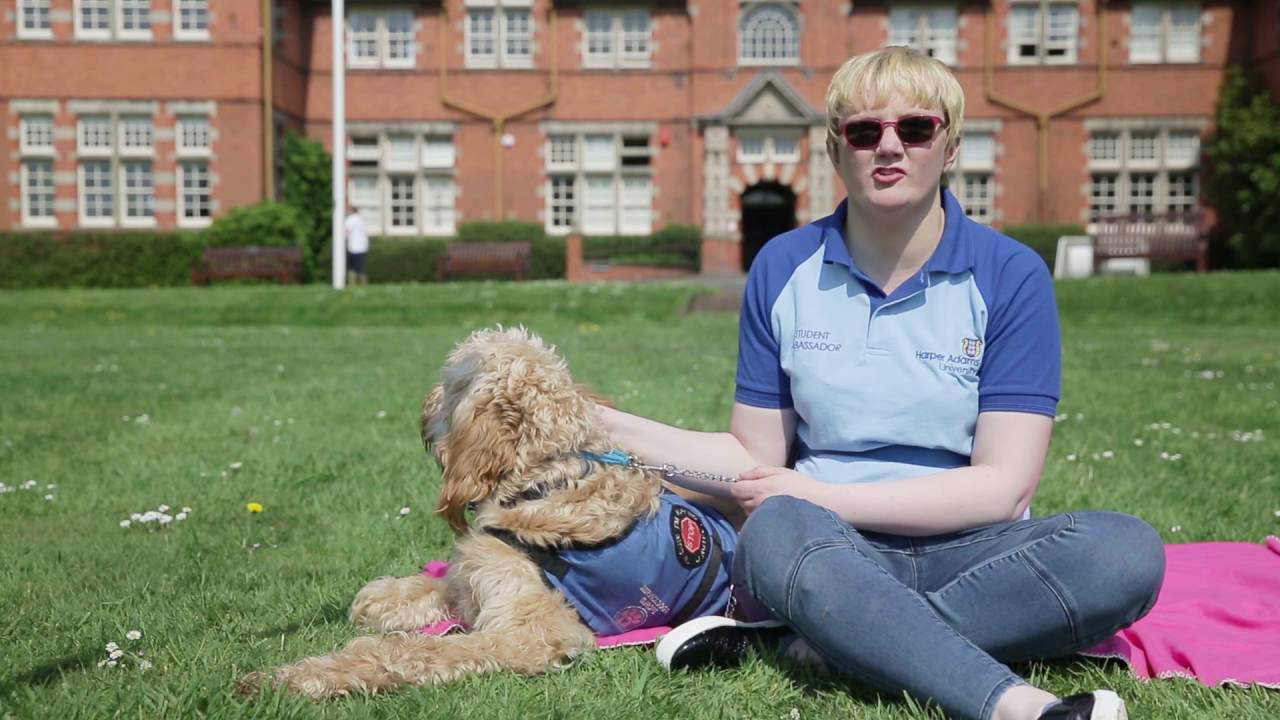 Student Finance Explained YouTube student-finance-explained-youtube