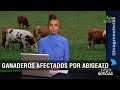 Ganaderos afectados por Abigeato - TvAgro por Juan Gonzalo Angel Restrepo