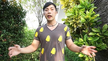 How To Trade and Keep Your Binary Profits and Never Blow Your Acc Again