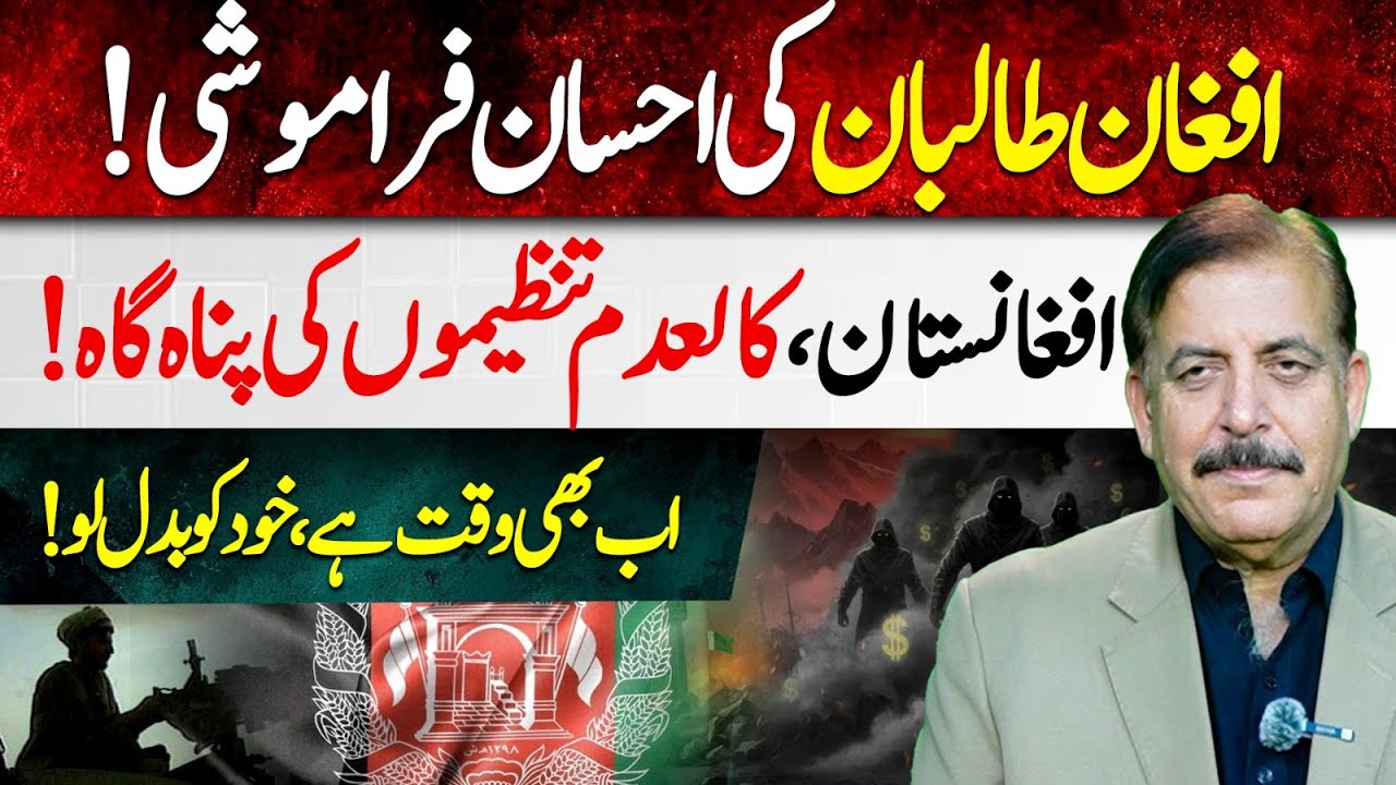 Неблагодарность афганских талибов раскрыта | Афганистан — безопасное убежище для запрещённых груп...