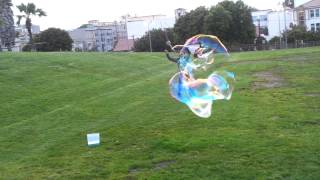 Torus Bubble for a second there