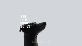 Cotons AI - Communication reinvented