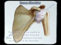 Frozen Shoulder - Everything You Need To Know - Dr. Nabil Ebraheim