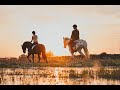 Equestrian Center | 10th Force Support Squadron | United States Air Force Academy