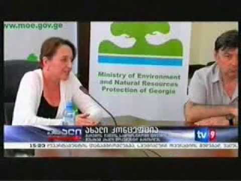MOE: სამინისტროში ახლადშემუშავებული ეროვნული სატყეო დოკუმენტის განხილვა გაიმართა