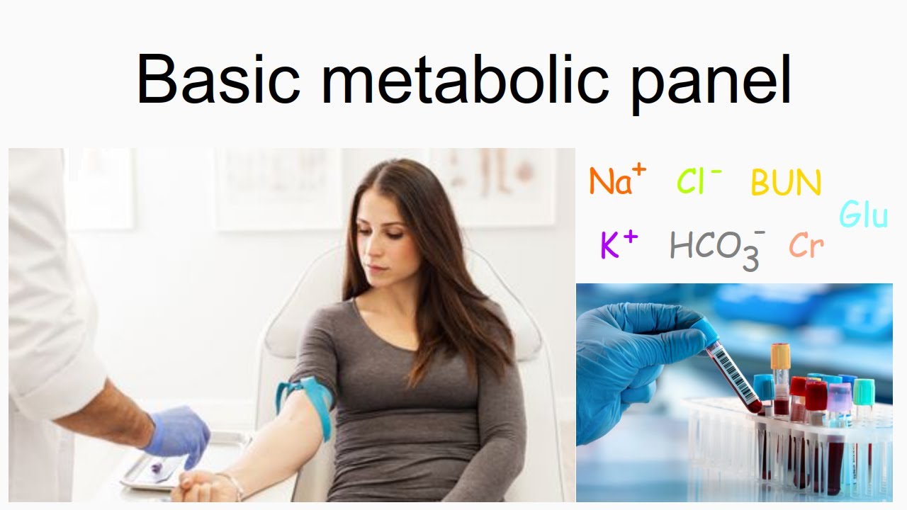 basic metabolic panel YouTube