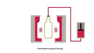 Pulpex Bottle Making Process Explained