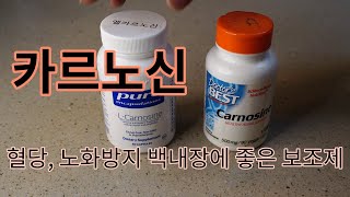 💖 카르노신 | 혈당, 백내장, 노화방지에 좋은 보조제