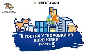 Производство мороженого Коровка из Кореновки. Переработка коровьего молока - Часть 2 0+