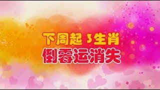 下周起，倒霉运消失的3生肖，财神爷坐镇，苦尽甘来，翻开新篇章 screenshot 3