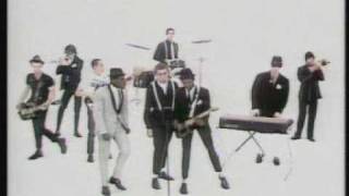 Video thumbnail of "The Specials - Message To You Rudy"