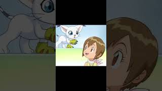My Tribute to Kari Kamiya &amp; Gatomon