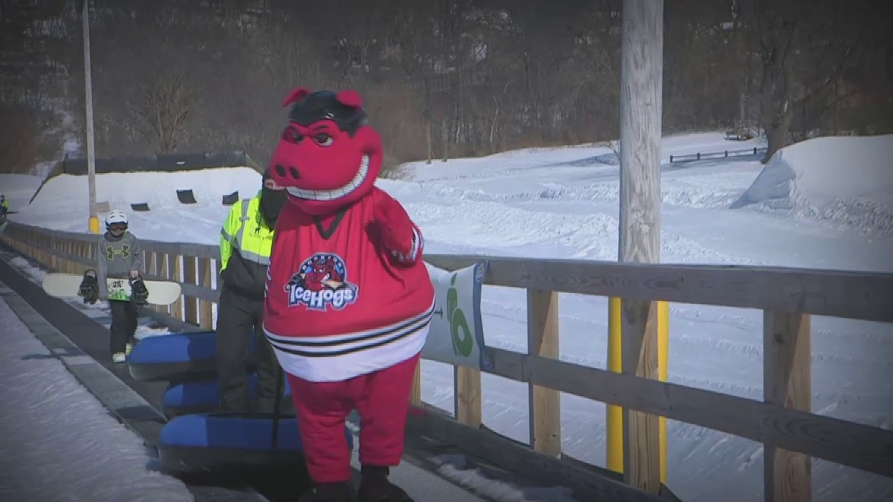 Rockford Ice Hogs Mascot Gnome Hammy 8”