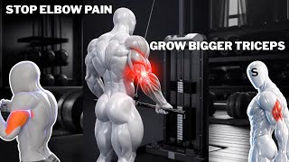 Everyone Trains Biceps… But the Triceps Is the Real Arm Builder