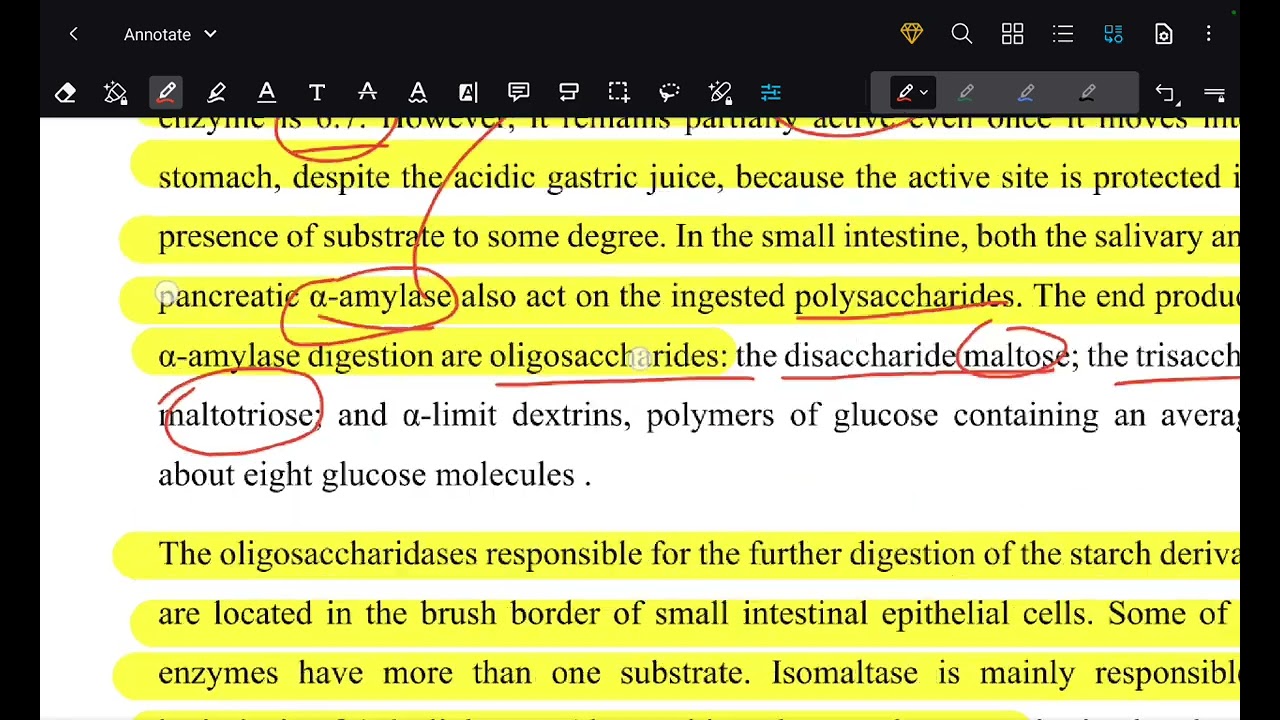 فسلجة I المحاضرة -11- جابتر 26 (الجزء الأول) || STARs pharma