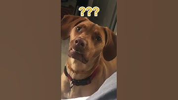 Why not to use non-deterministic functions in formulas given to view or update_view