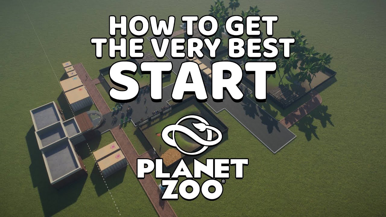 How to get the very best start in Planet Zoo - Tutorial, tips and tricks