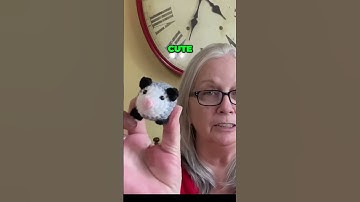 Unleashing the Cutest Acrylic Yarn Creation Opossum Transformation