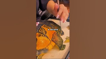 Turtle Peeling? 😮😯