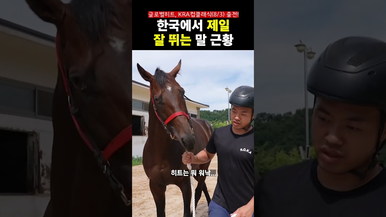 #글로벌히트 근황 궁금하셨죠? #경마