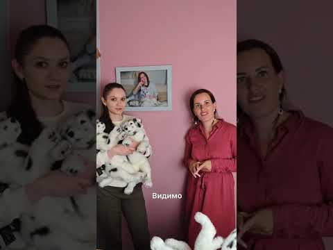 Как игрушки меняют жизнь к лучшему?