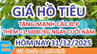 Pepper Prices Today December 31 2025  Pepper Prices Surge In Various Regions On The Last Day O