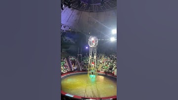 Xiếc mạo hiểm tại rạp xiếc Trung ương 2025 hè