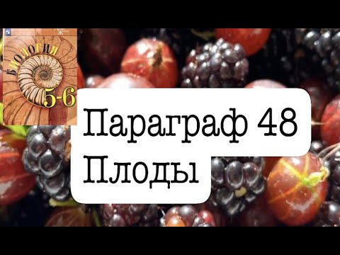 Биология 6 класс (Пасечник)  аудио Параграф 48 «Плоды»