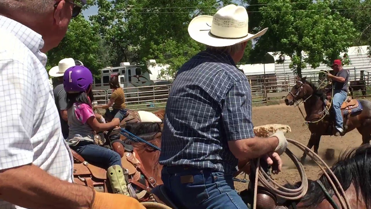 Tom Hefley Roping Roping at Tom's - YouTube