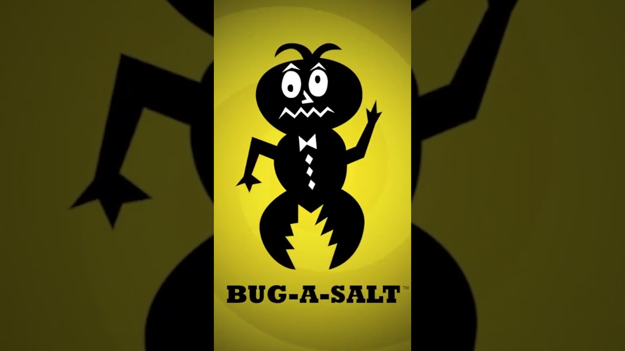 найдите соль 