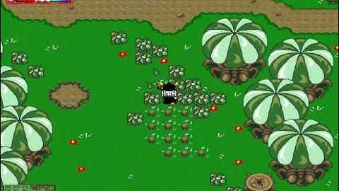 Graal the Adventure Annoying Bug In V6