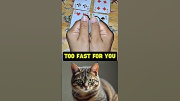 Do you have 20/20 vision? #shorts #quiz #challenge #foryou