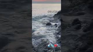 UNWIND | BEACH VIBES 🌊🫧❤️ #beach #unwind #beachlife #oceanwaves #oceanlife #ytshorts #viewthis
