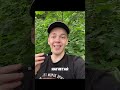 167/170🫵Вход в тгк после 170 человек ПЛАТНЫЙ #дисциплина #мотивацияивдохновение #саморазвитие