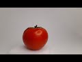 Что можно увидеть в помидоре под микроскопом?!
