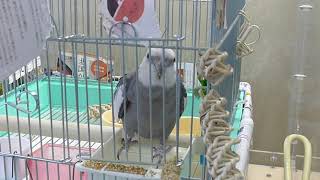 coco2021050903