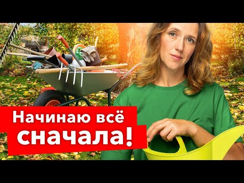 ТАКУЮ ПОЧВУ ХОТЬ ЛОЖКОЙ ЕШЬ! Начинаю с нуля засаживать участок, что важно успеть до зимы?