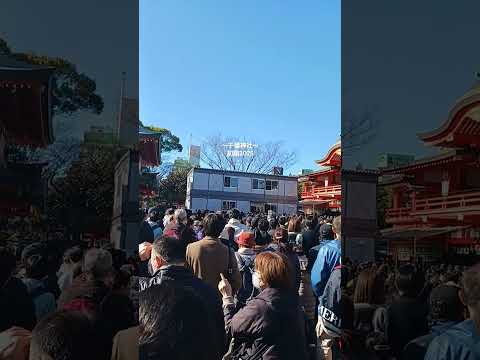 【千葉市】初詣2025!#初詣#shorts_#shortsvideo#千葉神社