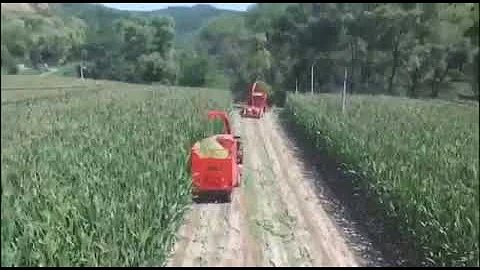 4QZ 2100 corn maize chopper silage making machine, forage harvester