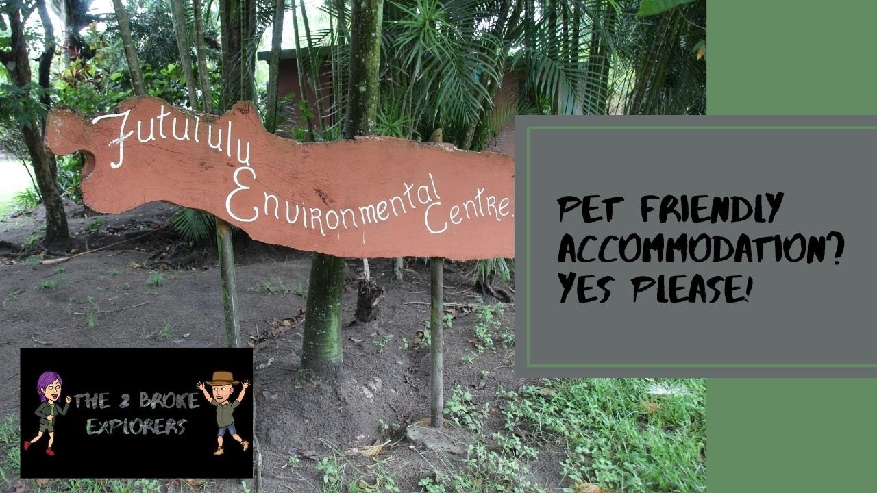 Budget Exploring - KZN - 04 - Pet friendly accommodation? Yes please!