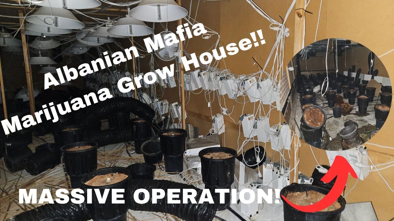 Abandoned Ambulance Centre Turned Into a CANNABIS Farm // Incredible Footage!