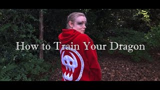 I made a How To Train Your Dragon inspired hoodie
