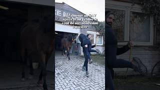 Je la ramène au SAV … #cheval #couple #jument #équitation #humour