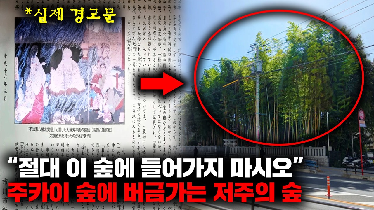 일본의 도심지 한복판에 위치한 절대 출입하면 안되는 저주받은 숲의 정체 [괴담]