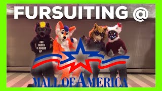 FURSUITING at the MALL of AMERICA
