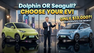 Byd Launch 13,000 Car That Shocks The Entire Car Industry