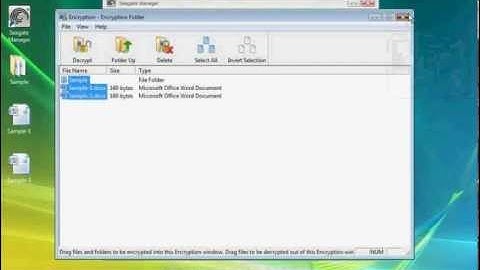 Seagate Manager - Security through Encryption