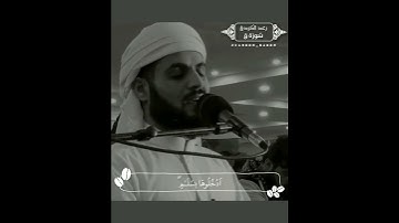 سورة -ق- |رعد الكردى|🤍🥺حالة واتس خاشعة