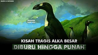 Punahnya Penguin Asli Dari Bumi Utara & Bukti Tamaknya Manusia | Burung Alka Besar, Great Auk